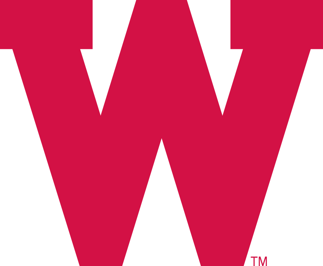 Wisconsin Badgers 1970-1991 Primary Logo diy DTF decal sticker